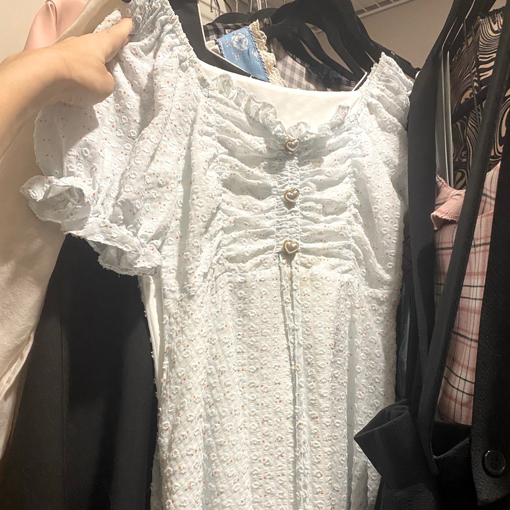 Ledin Pastel Blue and Pink Sheer Dress with Heart Buttons